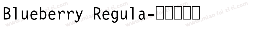 Blueberry Regula字体转换